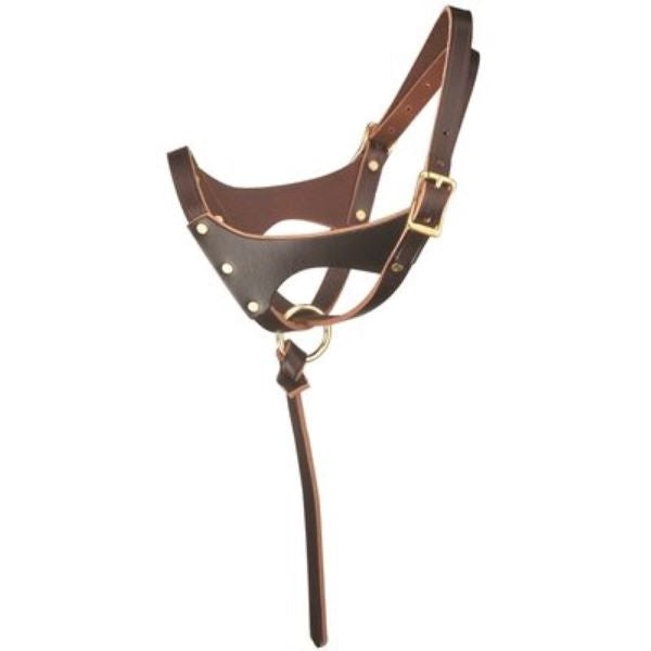 Perri's Leather Double Crown Foal Halter - Breeches.com