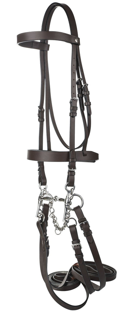 HENRI DE RIVEL POLO BRIDLE WITH DOUBLE REINS - Breeches.com