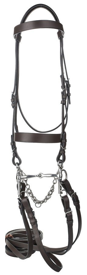 HENRI DE RIVEL POLO BRIDLE WITH DOUBLE REINS - Breeches.com